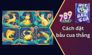 Chia sẻ bí kíp về cách đặt bầu cua thắng nhanh và thưởng khủng tại 789club 5 cach dat bau cua thang