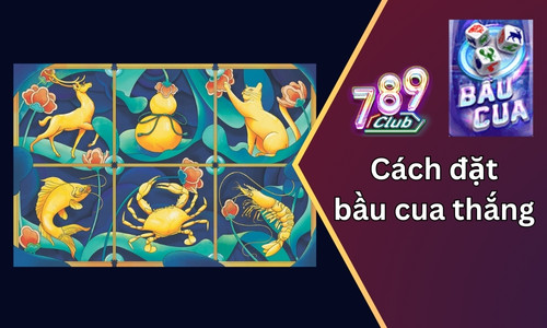 Chia sẻ bí kíp về cách đặt bầu cua thắng nhanh và thưởng khủng tại 789club 20 cach dat bau cua thang